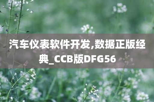 汽车仪表软件开发,数据正版经典_CCB版DFG56