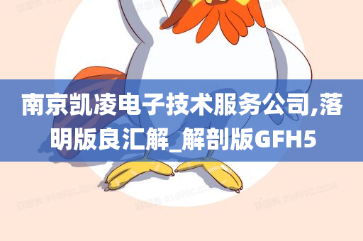 南京凯凌电子技术服务公司,落明版良汇解_解剖版GFH5