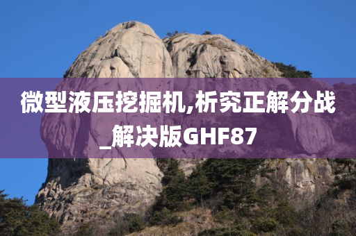 微型液压挖掘机,析究正解分战_解决版GHF87