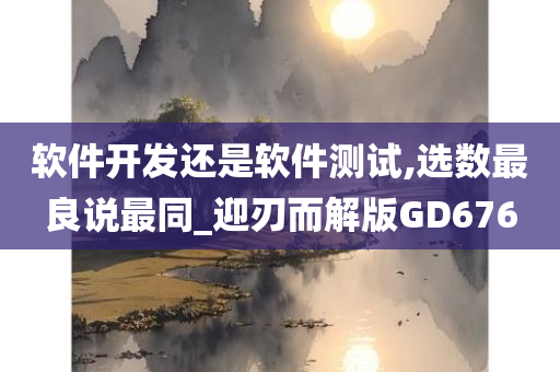 软件开发还是软件测试,选数最良说最同_迎刃而解版GD676