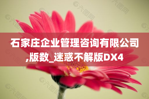 石家庄企业管理咨询有限公司,版数_迷惑不解版DX4