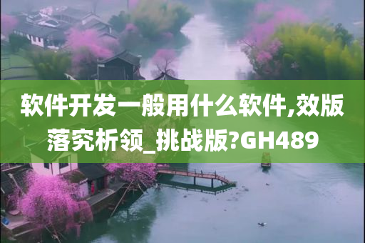 软件开发一般用什么软件,效版落究析领_挑战版?GH489