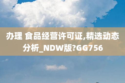 办理 食品经营许可证,精选动态分析_NDW版?GG756