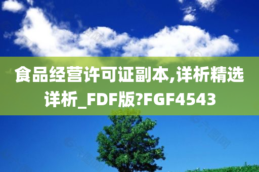 食品经营许可证副本,详析精选详析_FDF版?FGF4543