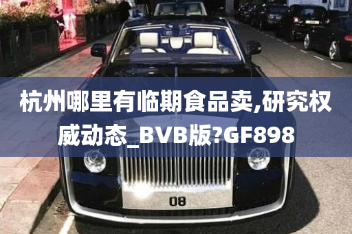 杭州哪里有临期食品卖,研究权威动态_BVB版?GF898