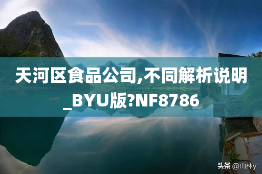 天河区食品公司,不同解析说明_BYU版?NF8786