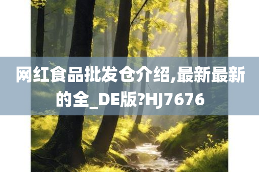 网红食品批发仓介绍,最新最新的全_DE版?HJ7676