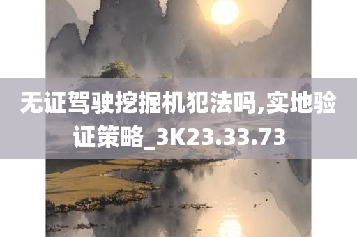 无证驾驶挖掘机犯法吗,实地验证策略_3K23.33.73