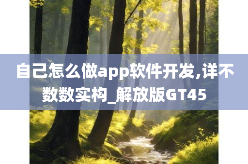 自己怎么做app软件开发,详不数数实构_解放版GT45