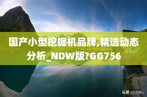 国产小型挖掘机品牌,精选动态分析_NDW版?GG756