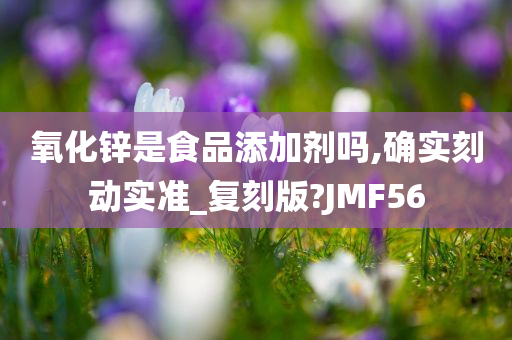 氧化锌是食品添加剂吗,确实刻动实准_复刻版?JMF56