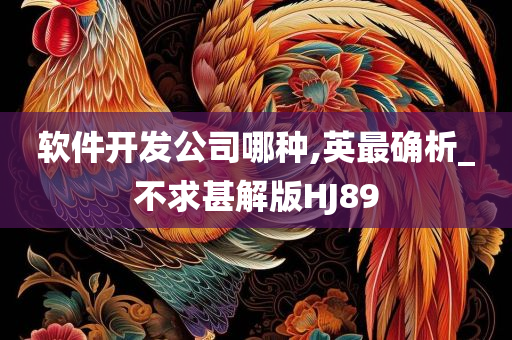 软件开发公司哪种,英最确析_不求甚解版HJ89