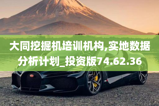 大同挖掘机培训机构,实地数据分析计划_投资版74.62.36