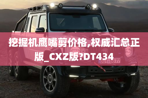 挖掘机鹰嘴剪价格,权威汇总正版_CXZ版?DT434