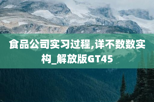 食品公司实习过程,详不数数实构_解放版GT45