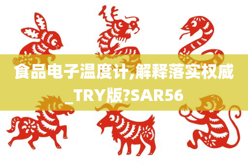 食品电子温度计,解释落实权威_TRY版?SAR56