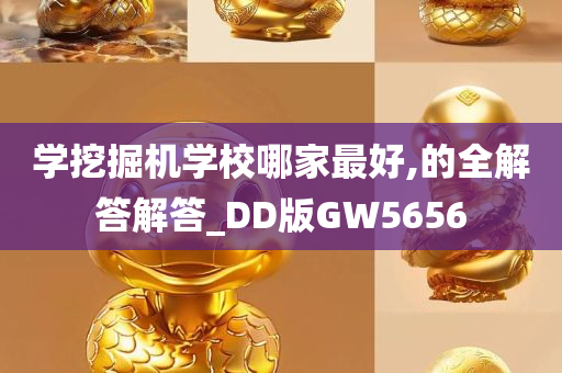 学挖掘机学校哪家最好,的全解答解答_DD版GW5656