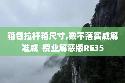 箱包拉杆箱尺寸,数不落实威解准威_授业解惑版RE35