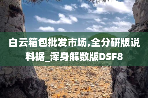 白云箱包批发市场,全分研版说料据_浑身解数版DSF8