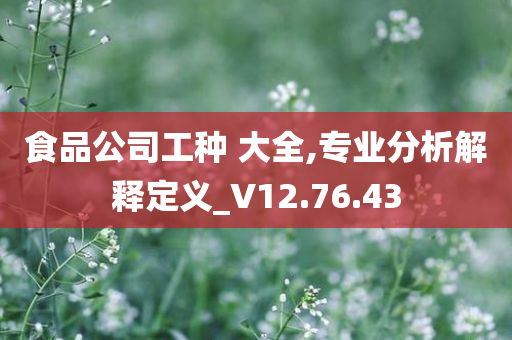 食品公司工种 大全,专业分析解释定义_V12.76.43