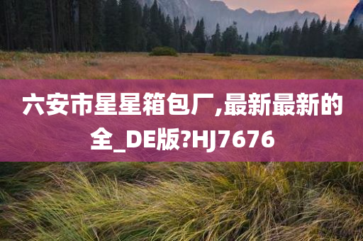 六安市星星箱包厂,最新最新的全_DE版?HJ7676