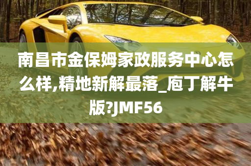 南昌市金保姆家政服务中心怎么样,精地新解最落_庖丁解牛版?JMF56