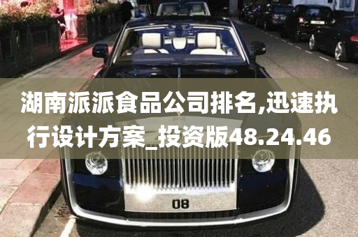 湖南派派食品公司排名,迅速执行设计方案_投资版48.24.46