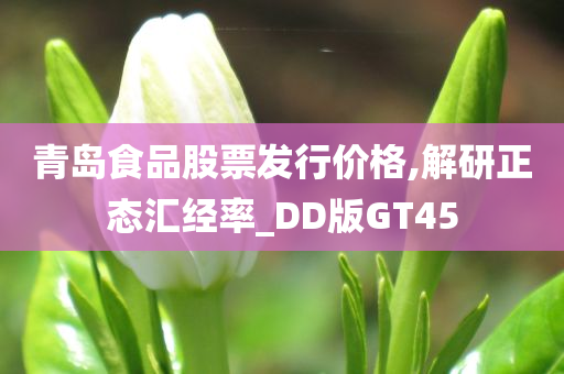 青岛食品股票发行价格,解研正态汇经率_DD版GT45