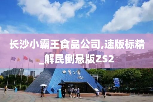 长沙小霸王食品公司,速版标精_解民倒悬版ZS2