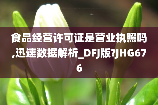 食品经营许可证是营业执照吗,迅速数据解析_DFJ版?JHG676