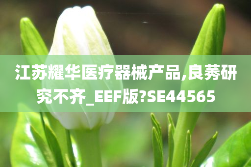 江苏耀华医疗器械产品,良莠研究不齐_EEF版?SE44565