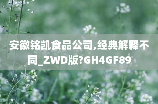 安徽铭凯食品公司,经典解释不同_ZWD版?GH4GF89