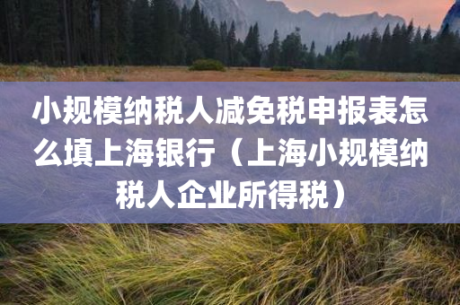 小规模纳税人减免税申报表怎么填上海银行（上海小规模纳税人企业所得税）