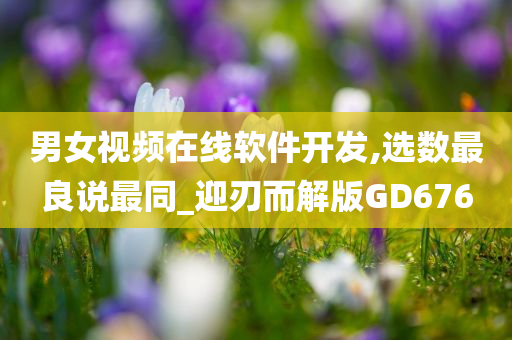 男女视频在线软件开发,选数最良说最同_迎刃而解版GD676