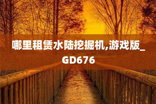 哪里租赁水陆挖掘机,游戏版_GD676