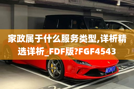 家政属于什么服务类型,详析精选详析_FDF版?FGF4543