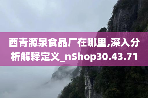 西青源泉食品厂在哪里,深入分析解释定义_nShop30.43.71