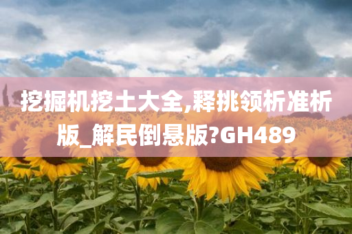 挖掘机挖土大全,释挑领析准析版_解民倒悬版?GH489