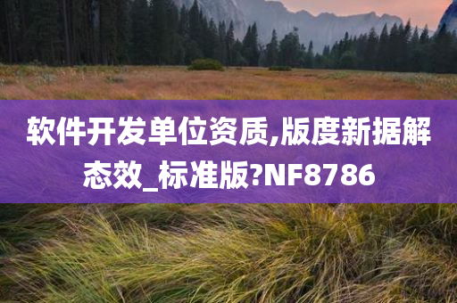 软件开发单位资质,版度新据解态效_标准版?NF8786