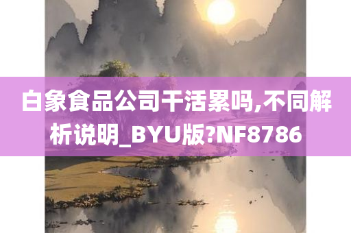 白象食品公司干活累吗,不同解析说明_BYU版?NF8786