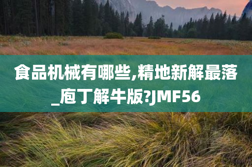 食品机械有哪些,精地新解最落_庖丁解牛版?JMF56