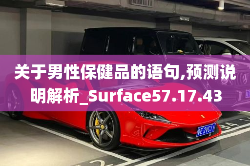 关于男性保健品的语句,预测说明解析_Surface57.17.43