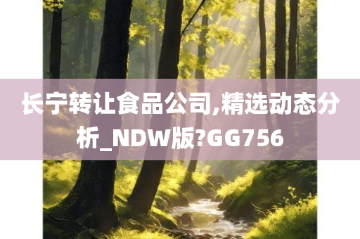 长宁转让食品公司,精选动态分析_NDW版?GG756