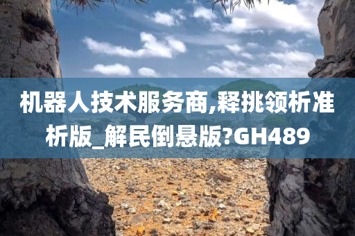 机器人技术服务商,释挑领析准析版_解民倒悬版?GH489