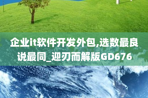 企业it软件开发外包,选数最良说最同_迎刃而解版GD676