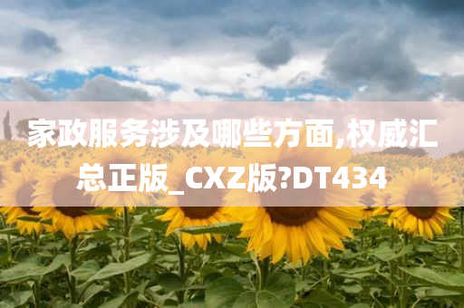 家政服务涉及哪些方面,权威汇总正版_CXZ版?DT434