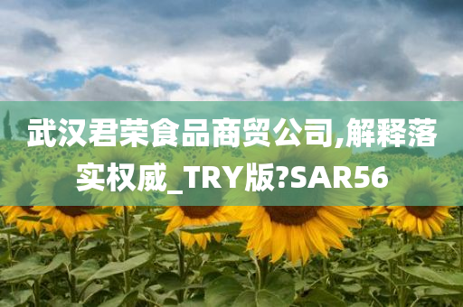 武汉君荣食品商贸公司,解释落实权威_TRY版?SAR56