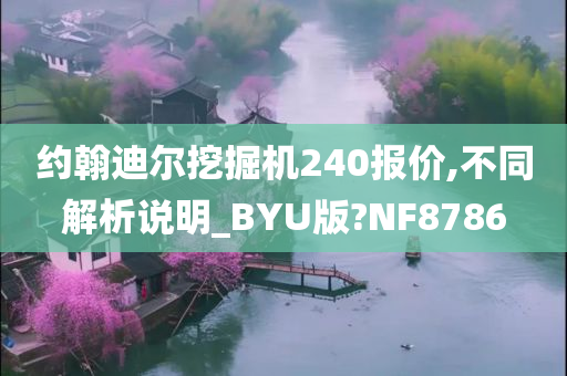 约翰迪尔挖掘机240报价,不同解析说明_BYU版?NF8786