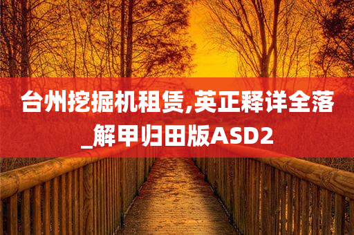 台州挖掘机租赁,英正释详全落_解甲归田版ASD2