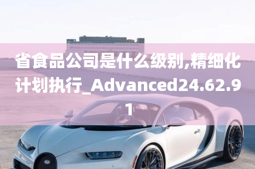 省食品公司是什么级别,精细化计划执行_Advanced24.62.91